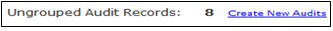Auditwebsite1.png
