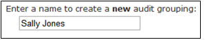 Auditwebsite2.png