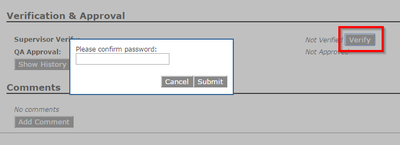 Fill Verification with Password.png
