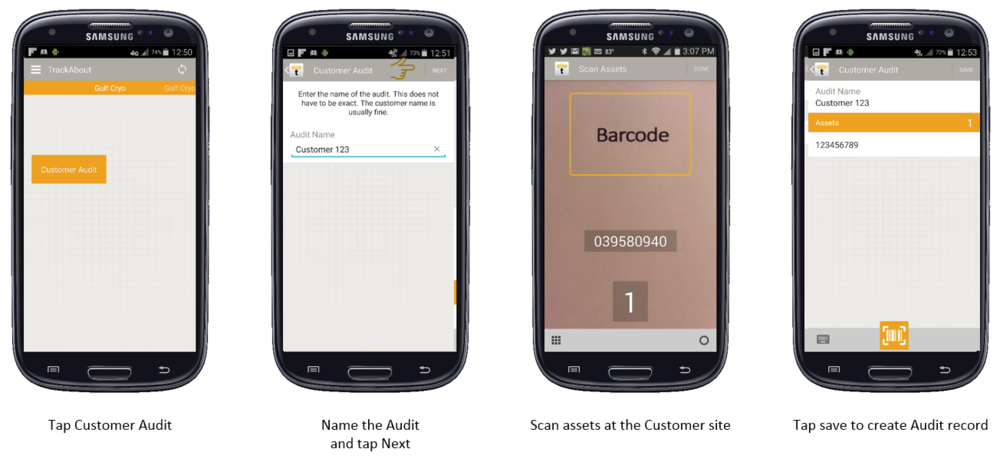 Smartphone Customer Audit.png