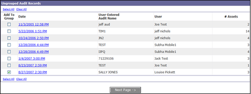 Auditwebsite3.png